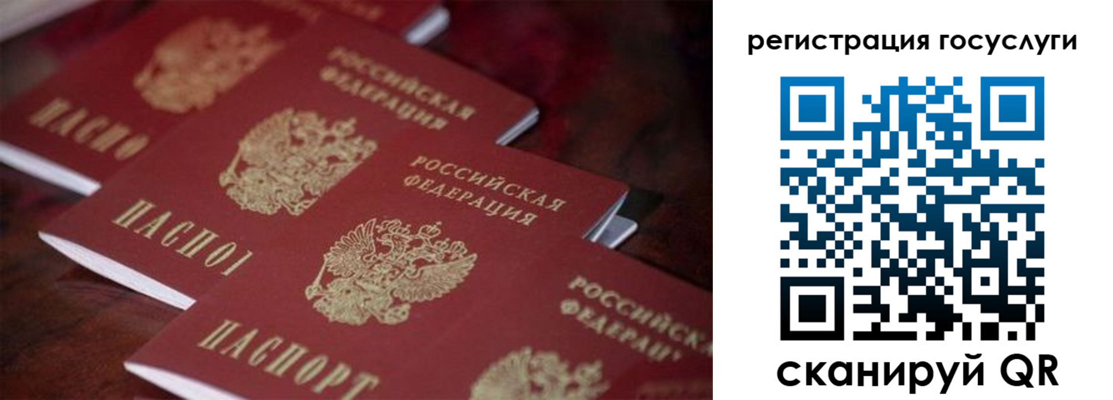 где прописаться в Белгородской области